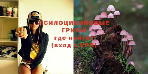 ПСИЛОЦИБИНОВЫЕ ГРИБЫ Верхний Тагил