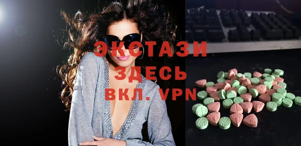 ECSTASY Бородино