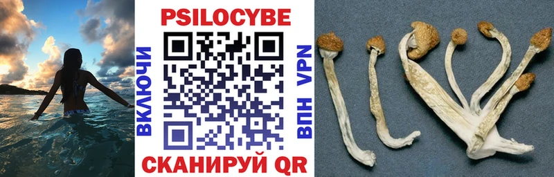 Галлюциногенные грибы Cubensis  Купить где  Гагарин 